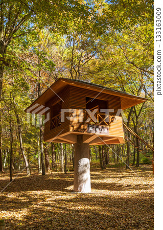 赤城自然公園森林遊樂場樹屋的秋天 133163009