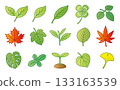 Leaf leaf icon illustration set 133163539