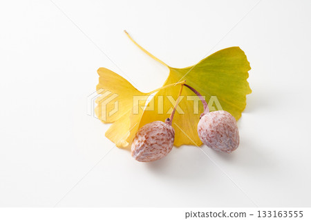 Yellow ginkgo biloba leaves Yellow ginkgo biloba leaves 133163555
