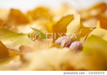 黃色銀杏葉 黃色銀杏葉 133163573
