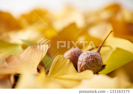 黃色銀杏葉 黃色銀杏葉 133163575