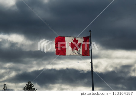 加拿大國旗在陰沉的天空中飄揚 加拿大 加拿大國旗在陰沉的天空中飄揚 加拿大 133164197