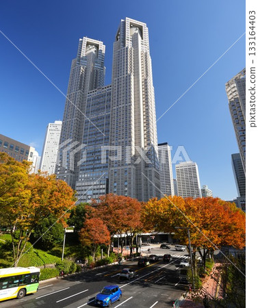 Autumn leaves from Central Park to Tokyo Metropolitan Government Building Autumn leaves from Central Park to Tokyo Metropolitan Government Building 133164403