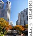 秋葉與摩天大樓 133164404
