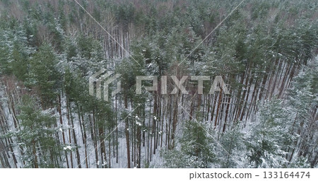 Aerial backward fly over winter frozen pine forest 133164474
