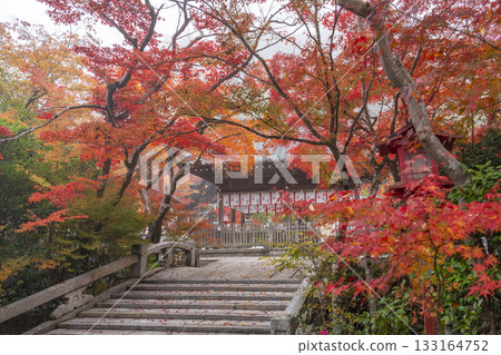 桑山神社：美麗的秋葉 133164752