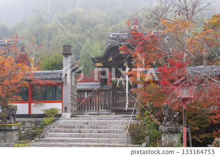 桑山神社 - 美麗的秋葉 - 正殿（八幡宮） 133164753