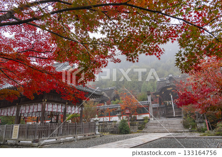 Kuwayama Shrine: Beautiful autumn leaves, worship hall and main hall Kuwayama Shrine: Beautiful autumn leaves, worship hall and main hall 133164756