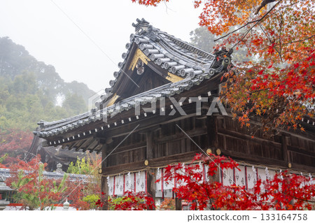 Kuwayama Shrine - Beautiful autumn leaves - Main hall Kuwayama Shrine - Beautiful autumn leaves - Main hall 133164758