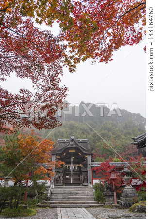 Kuwayama Shrine - Beautiful autumn leaves - Main hall (Kuwayama Shrine) Kuwayama Shrine - Beautiful autumn leaves - Main hall (Kuwayama Shrine) 133164760