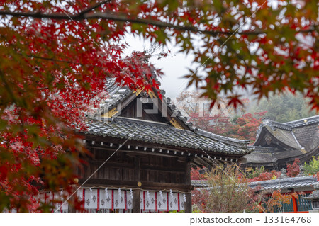 桑山神社 - 美麗的秋葉 - 本堂（桑山神社） 133164768
