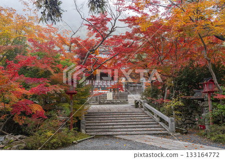 Kuwayama Shrine: Beautiful autumn leaves, worship hall and bridge 133164772