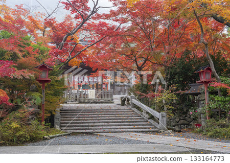 Kuwayama Shrine: Beautiful autumn leaves, worship hall and bridge 133164773