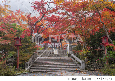 Kuwayama Shrine: Beautiful autumn leaves, worship hall and bridge 133164774