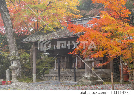 桑山神社 - 美麗的秋葉 - 副神社 桑山神社 - 美麗的秋葉 - 副神社 133164781