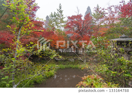Kuwayama Shrine Beautiful Autumn Leaves Garden 133164788