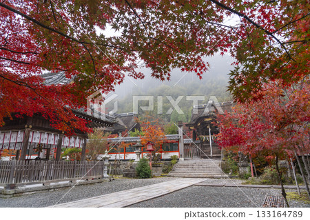 Kuwayama Shrine: The worship hall and main hall surrounded by beautiful autumn leaves 133164789