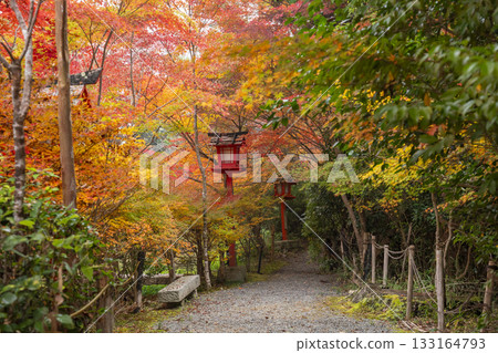 桑山神社美麗的秋葉花園 133164793
