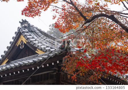 Kuwayama Shrine - Beautiful autumn leaves - Main hall 133164805