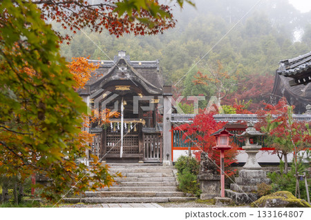 Kuwayama Shrine - Beautiful autumn leaves - Main hall (Kuwayama Shrine) Kuwayama Shrine - Beautiful autumn leaves - Main hall (Kuwayama Shrine) 133164807