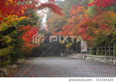 桑山神社:美麗的秋葉和繪馬懸掛殿 桑山神社:美麗的秋葉和繪馬懸掛殿 133164820