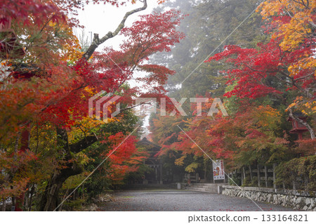 桑山神社:美麗的秋葉和繪馬懸掛殿 桑山神社:美麗的秋葉和繪馬懸掛殿 133164821