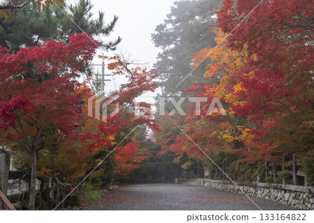 Kuwayama Shrine: Beautiful Autumn Leaves and Ema Hanging Hall 133164822