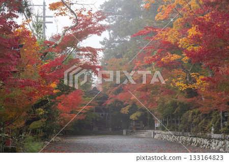 Kuwayama Shrine: Beautiful autumn leaves 133164823