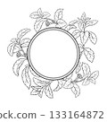 Stevia Branch Outline Round Frame. 133164872