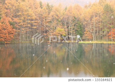 Autumn leaves and snow at Mishaka Pond 133164921