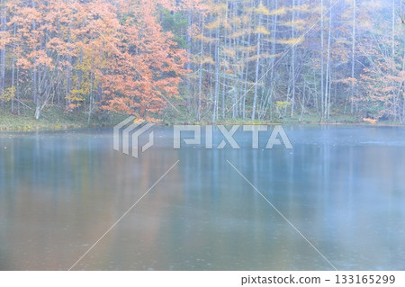 Mishaka Pond in the mist and rain 133165299