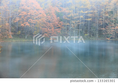 Mishaka Pond in the mist and rain 133165301