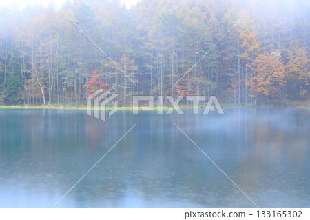 Mishaka Pond in the mist and rain Mishaka Pond in the mist and rain 133165302