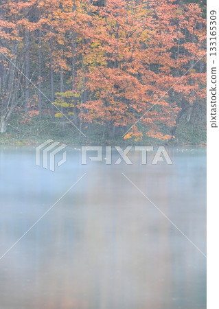 霧雨中的米沙卡池 133165309