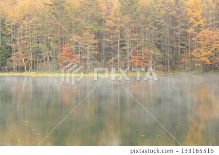 Mishaka Pond in the mist and rain 133165316