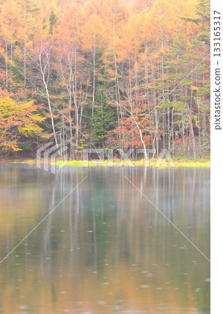 Mishaka Pond in the mist and rain 133165317