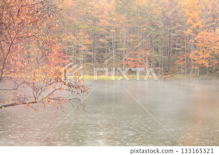 Mishaka Pond in the mist and rain 133165321