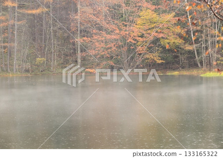 Mishaka Pond in the mist and rain 133165322