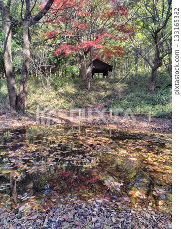群馬縣赤城自然公園蜻蜓池的秋景 133165382