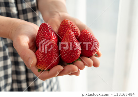 A lot of ripe red strawberries in a woman's hand (woman) 133165494