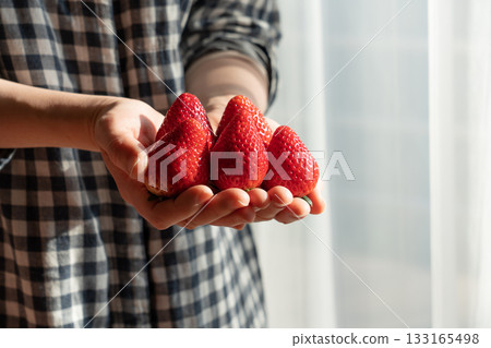 一位女士手裡拿著很多熟透的紅草莓（女士） 133165498