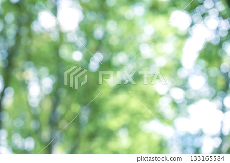 Green out-of-focus background material, composite material Green out-of-focus background material, composite material 133165584