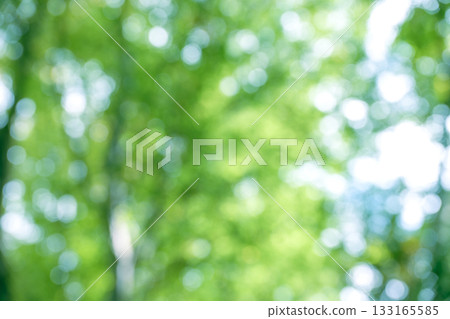 Green out-of-focus background material, composite material Green out-of-focus background material, composite material 133165585