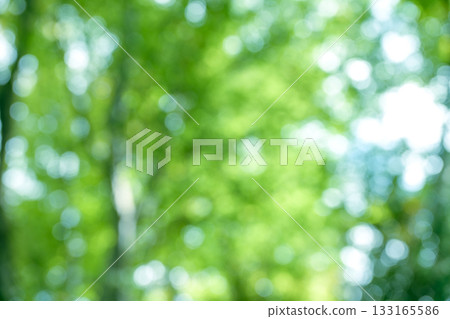 Green out-of-focus background material, composite material Green out-of-focus background material, composite material 133165586