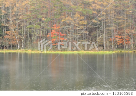 Rainy shark pond 133165598