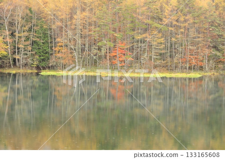 Rainy shark pond 133165608