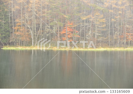 Rainy shark pond 133165609