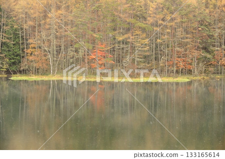 Rainy shark pond Rainy shark pond 133165614
