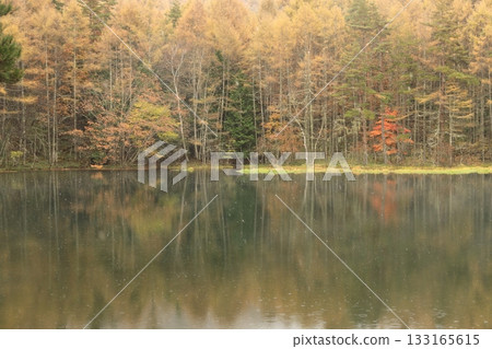 Rainy shark pond 133165615