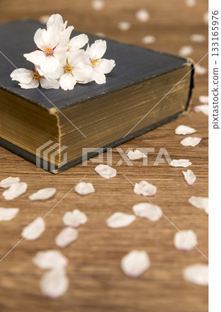 Leisure and reading in spring Leisure and reading in spring 133165976